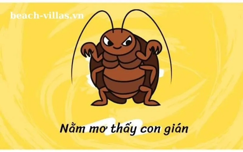 Giấc mơ thấy côn trùng