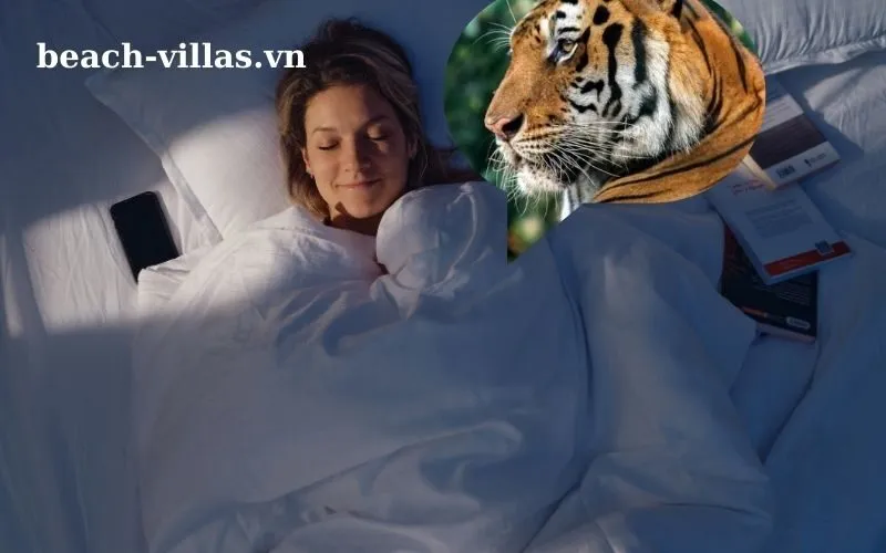 Giấc mơ thấy hổ