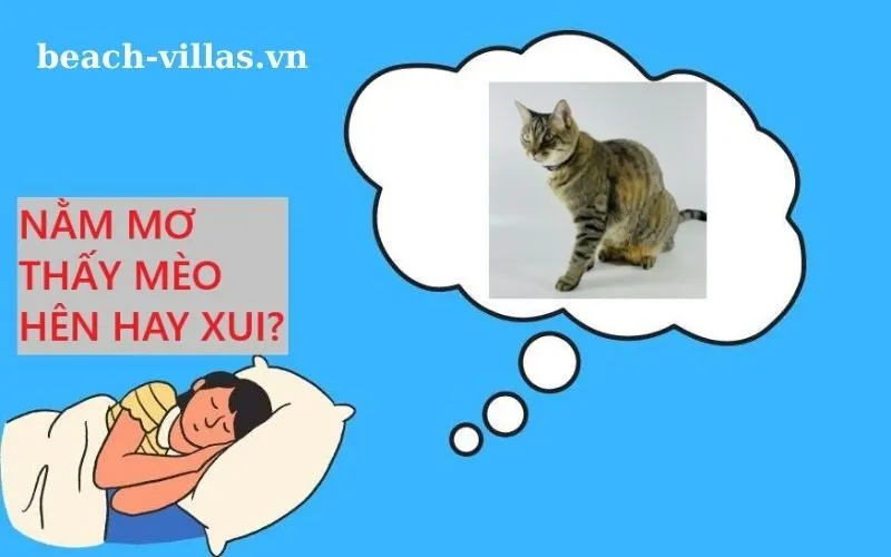 Giấc mơ thấy mèo