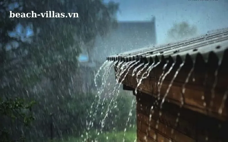 Giấc mơ thấy mưa